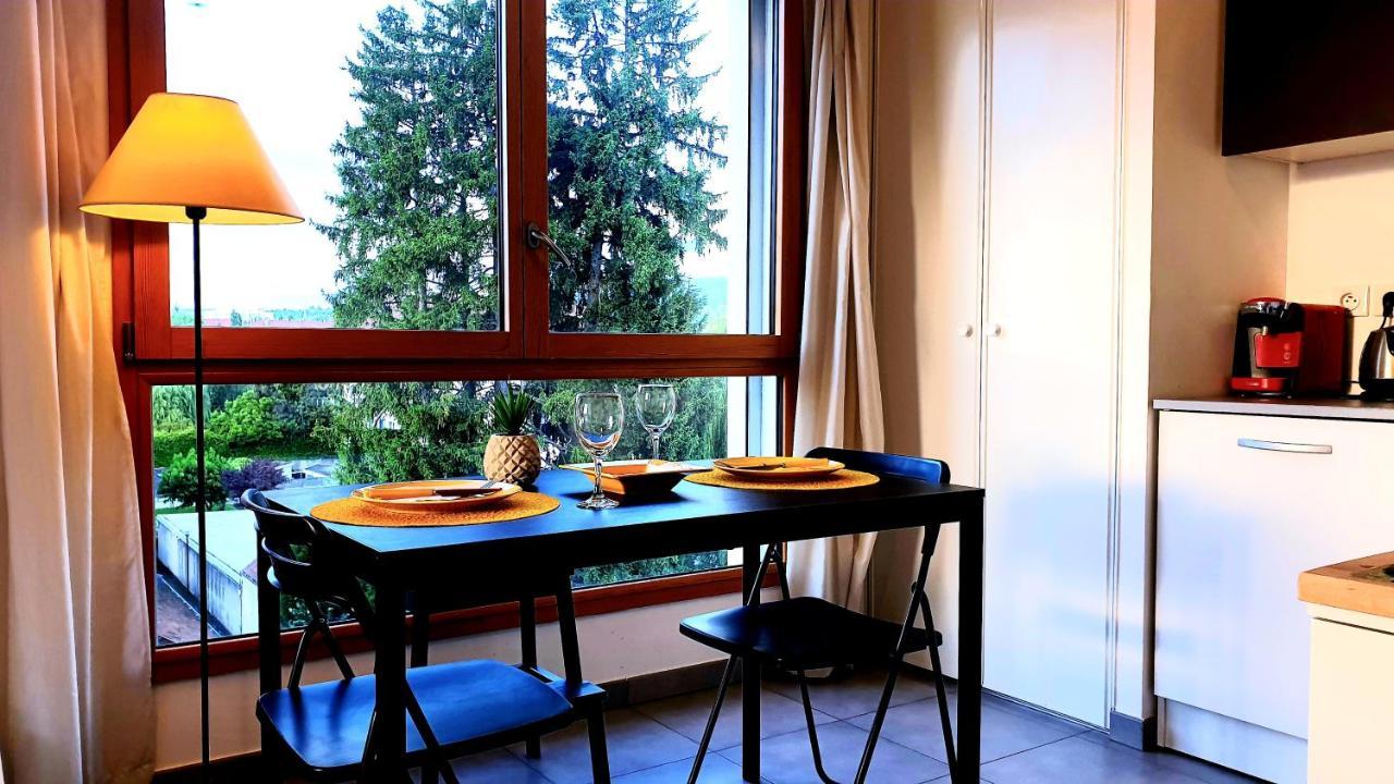 Le Bellevue A 10Min Du Centre A Pied Apartment Annecy Luaran gambar
